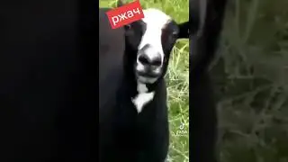 Ты меня снимаешь? прикол 