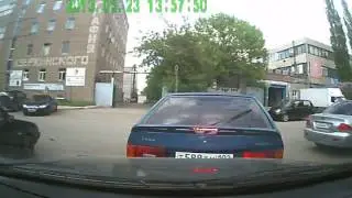 Дятел на дороге 1