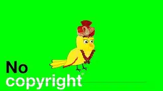 Tuni chidiya green screen video no copyright 7 bird cartoon green screen bird green screen cartoon