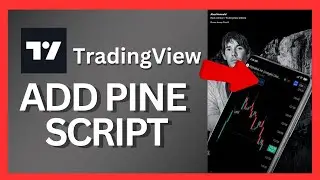 How to Add Pine Script in TradingView 2024?