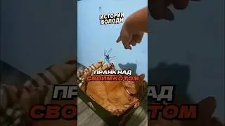Пранк над ПУШИСТЫМ 🕷️