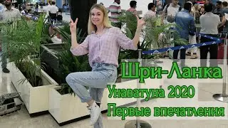Шри Ланка. Перелет. Унаватуна. Первые впечатления