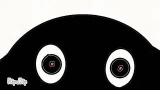 NOOT NOOT