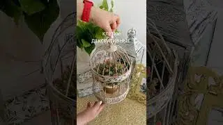 Анонс новинок недели