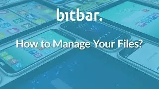 How to Manage Your Files on Bitbar