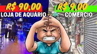 6 COISAS MAIS BARATAS FORA DA LOJA DE AQUARISMO | Custo x Beneficio
