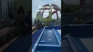#flowrider #cruiseship #shortvideo #shorts