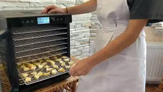 Електросушарки для продуктів (Дегідратори) DEX