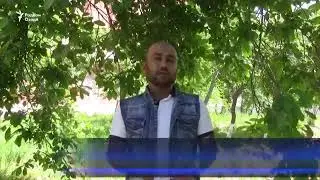 Дар н.Бохтар Сангони мазоро шикастанд