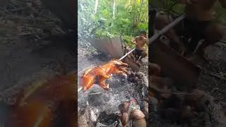 Lechon de Cebu | Masarap na Lechon