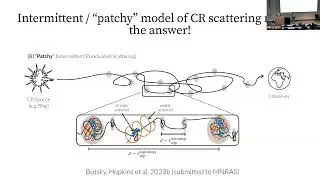 KIPAC@20: What in the Galaxy is Scattering Cosmic Rays? (Iryna Butsky)