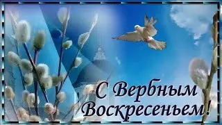 Дорогие мои родные и друзья! С Вербным Воскресеньем Вас! Мира Вам , любви  здоровья и тепла!