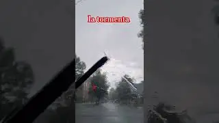 Буревій