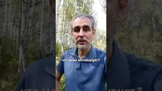 жиза 😂