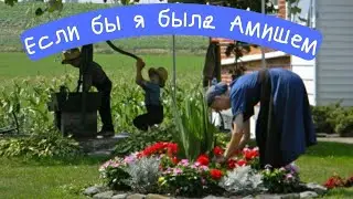 А кто такие амиши - большой большой секрет!