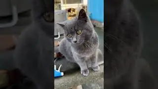 Новогодний Кемп.