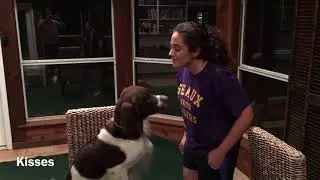 Princeton's Novice Trick Dog Video