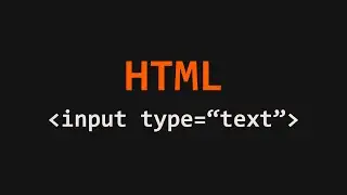 Input Display a Text Input Field Example