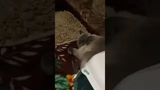 Название придумайте сами 😁