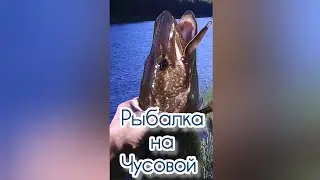 Рыбалка на Чусовой