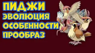 ПОКЕМОН ПИДЖИ  ЭВОЛЮЦИЯ, ОСОБЕННОСТИ, ПРООБРАЗ