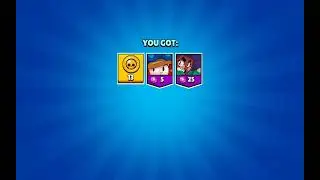 3 boxes