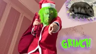 Il Grinch è a casa nostra