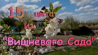 15 Цитат из Вишневого Сада