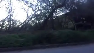 Parque Ecológico Chipinque | México | Парк Чипинке | Мексика