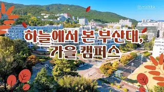 [피누피아] 하늘에서 본 부산대, 가을 캠퍼스 4K