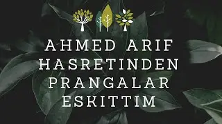 Hasretinden Prangalar Eskittim | Ahmed Arif