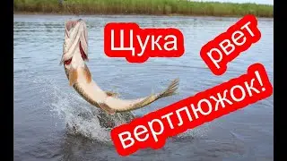 Рыбалка 2020 ЛОВЛЯ ЩУКИ НА КРУЖКИ осенью / Ловля щуки на живца