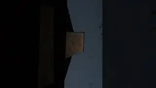 Bats Flying out of Attic - Signs of Bat Activity