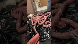 Sausage party 3 “funny”