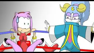 Ariem SHATTERS Amy Rose's Dreams? (AMY-VERSUS 11) 