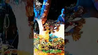 සිලිං බිලිං ......