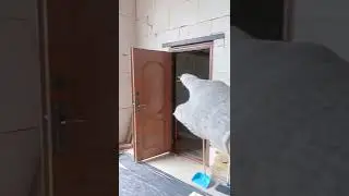ГОВОРИЛА МНЕ МАМА...