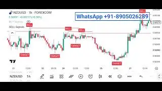 FREE Order Block Indicator: Find Big Buyers Fast! 