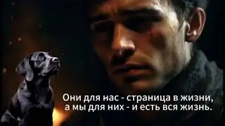 Деревенские истории. Лучший друг человека.