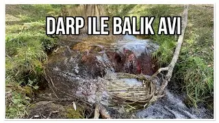 DARP İLE BALIK AVI - ESKİ SİSTEM