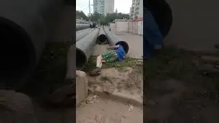 А вы ноктюрн сыграть могли бы на флейте водосточных труб
