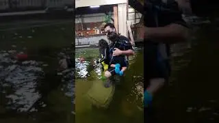Shark and Ray Encounter with Shayna