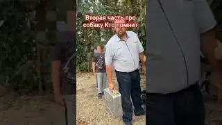 избил собаку железной канистрой