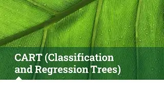 ( Classification and Regression Trees)