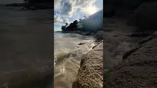 Waves