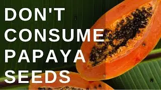 Papaya seeds are HARMFUL and have NO BENEFIT!