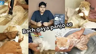 Bach gaya panjo se | Babloo ki nails and hairs cutting at home