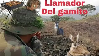 LLAMADOR DE VENADITO EFECTIVO (TIENES QUE PROBARLO)