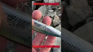 Крутая находка на рыбалке! Воблер ветеран! #fishing  #рыбалка