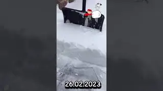 Снежный покров на 26.02.2023 года в Витебской области
